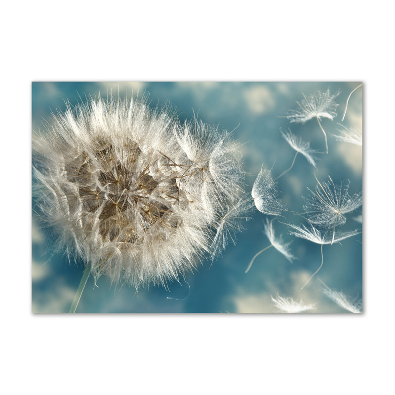 Dandelions - Wrapped Canvas Print