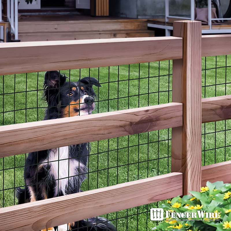 Fencer Wire Vinyl Coated 16 Gauge Welded Fence Wire Roll, Mesh Size 2-Inch x 3-Inch, Black, 5 ft. x 50 ft.