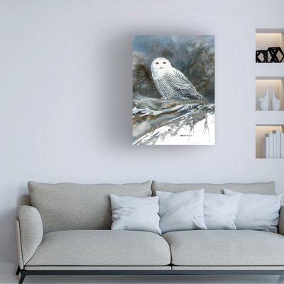 Dave Bartholet Arctic Ghost Canvas Art
