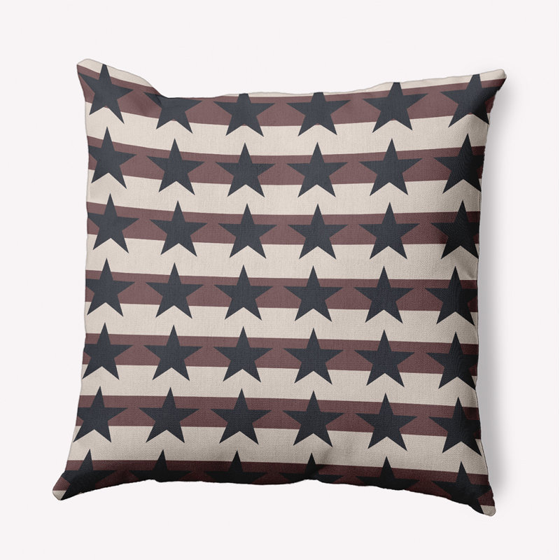 Housse et insert de coussin décoratif carré en polyester pour l'intérieur et l'extérieur, 16 po x 16 po