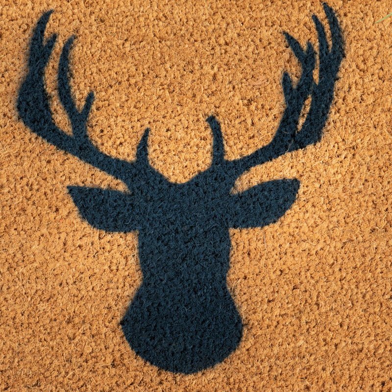 Brockman Non-Slip Outdoor Doormat