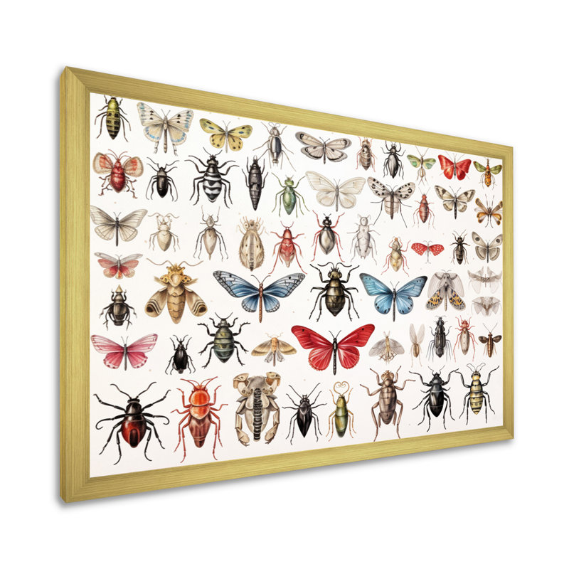 " Tiny Insect Wonders II ", Gold Single Picture Framed, 30" H x 40" W x 1.5" D