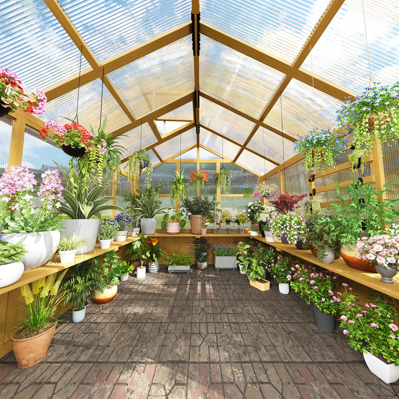 Outdoor Wooden Greenhouse with Polycarbonate Panels & Lockable Door 8x8 FT
