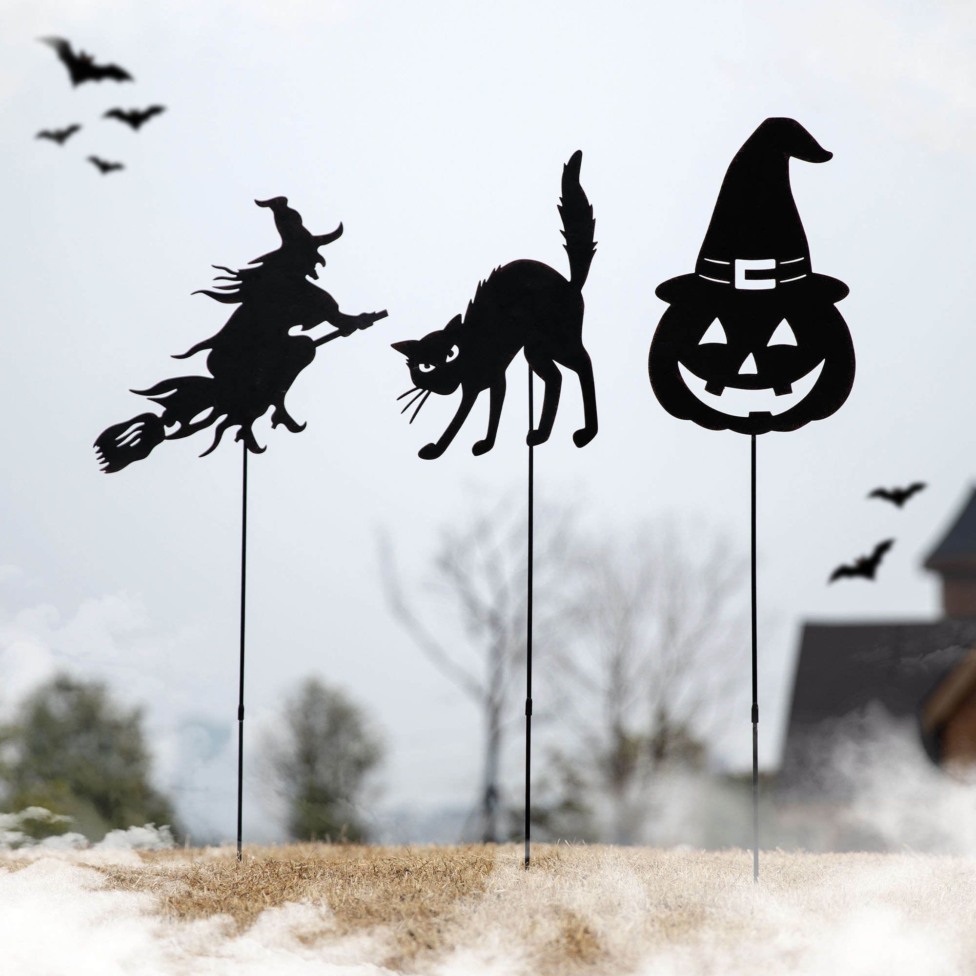 The Holiday Aisle 3 Piece Halloween Silhouette Garden Stake