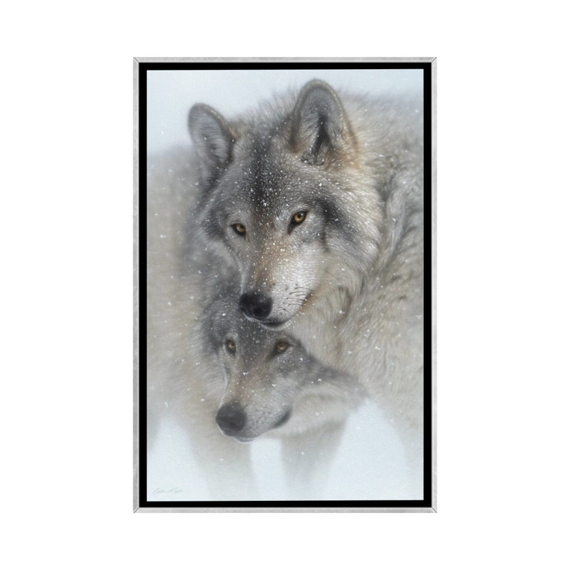 Wild Devotion - Gray Wolves, Silver Floater Framed Canvas, 26" H x 18" W x 1.5" D