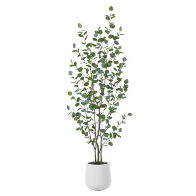 Adalia 84" Eucalyptus Tree in Pot