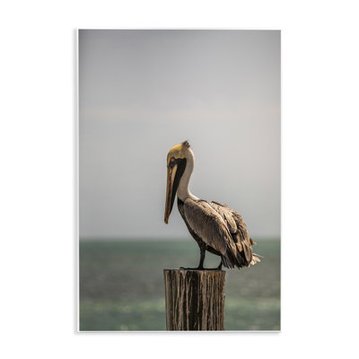 «Nautical Landscape Pelican Wall Art» par Aaron Matheson