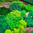 Natural Cedar Wood & Preserved Moss Wall Art - Handcrafted Square Décor-1843640498