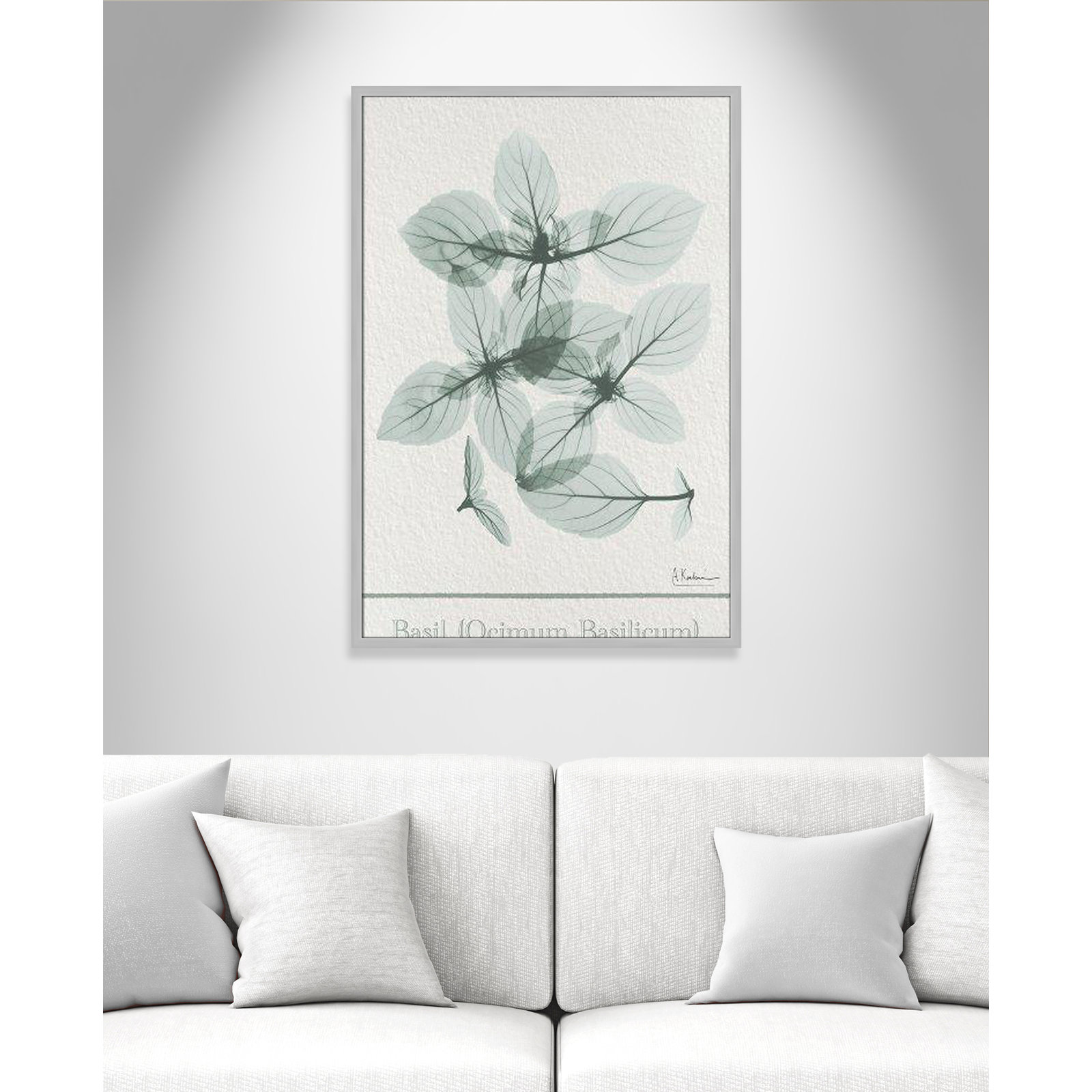 Basil Ocimum Basicicum Framed On Paper by Albert Koetsier Print, Matte Silver Framed Paper, 41.5" H x 29.5" W x 1.25" D