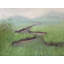 Mist Over The Marsh Print by Dina Gardner-46943209-10560977