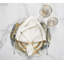 Cosmos Placemat-33813832