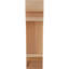 Corbeau Pescadero-1571285246-1571285245-1571285292