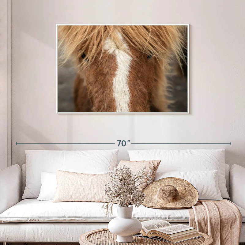 Gros plan d'un cheval Islandais, Cadre flottant blanc, 43 po x 29 po