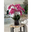 Orchidée en fleurs dans un vase-68766511