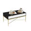 Table basse moderne avec 2 tiroirs, table de rangement de salon noir et blanc