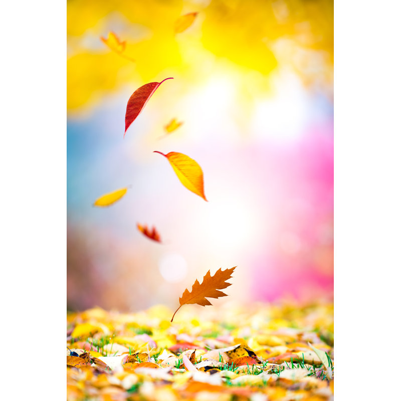 Falling autumn leaves 482753140, 91cm H x 61cm W