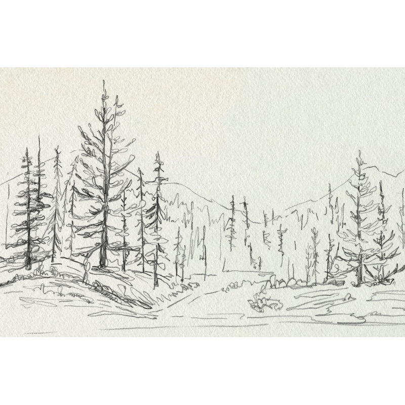 «Leaon Piney Forest II on Canvas» par Emma Caroline, reproduction, H 20 po x l 30 po