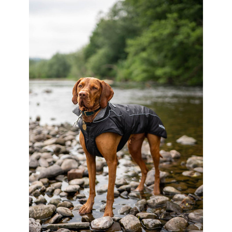 Breakwater Bay Dog Robe, 45 cm x 66 cm