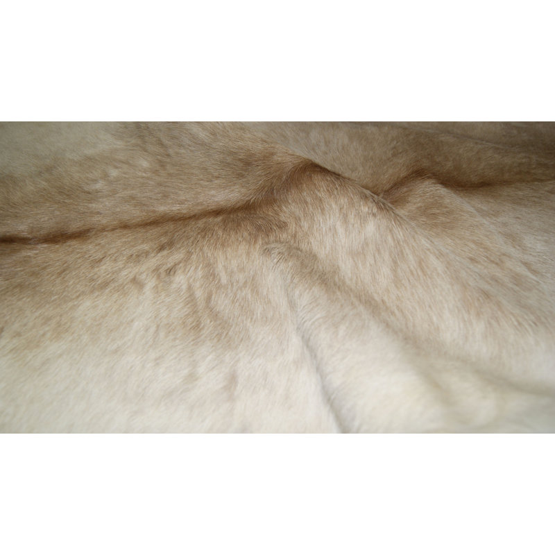 Cohan Cowhide Indoor Rug, Novelty 2' x 3'