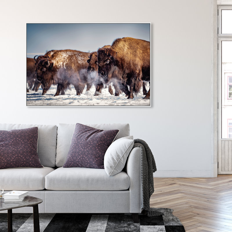 Buffalo Herd In A Snow Landscape Print, 37" H x 55" W, White Framed
