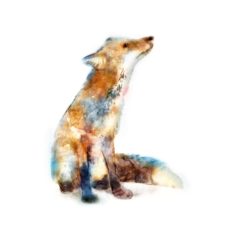 Fox by Edward Selkirk - Wrapped Canvas Painting, 30.48 cm H x 30.48 cm W