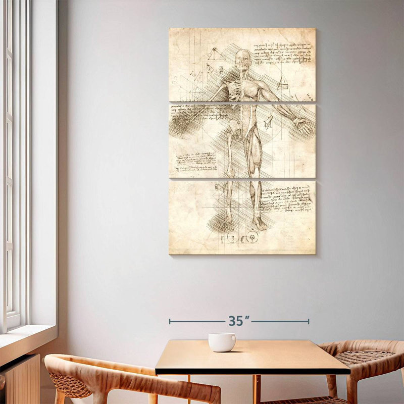 Human Male Skeleton, 65" H x 42" W