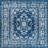 Oriental Indoor Rug-649681086