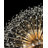Luxe Starburst Crystal Statement Chandelier-248832640-248832654-172794574