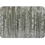 Birch Forest Placemat Set-70650448