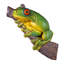 Statue de jardin grenouille aux yeux rouges