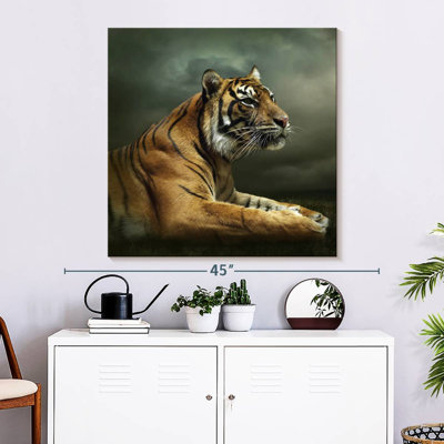 Brampt Stoic Tiger