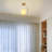 Glass Flush Mount