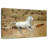 Prized White Stallion-108842799