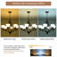 Wave 6 - Light Dimmable Classic / Traditional Chandelier