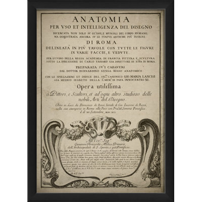« anatomia », impression encadrée