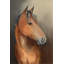 Calm Glance I Painting by Nash Rambler-26949196-26949203
