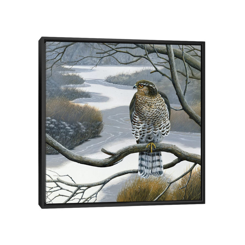 «Hawk in a Tree», impression sur toile, H 18 po x l 18 po x P 1,5 po, Toile avec cadre noir, Pas de tapis