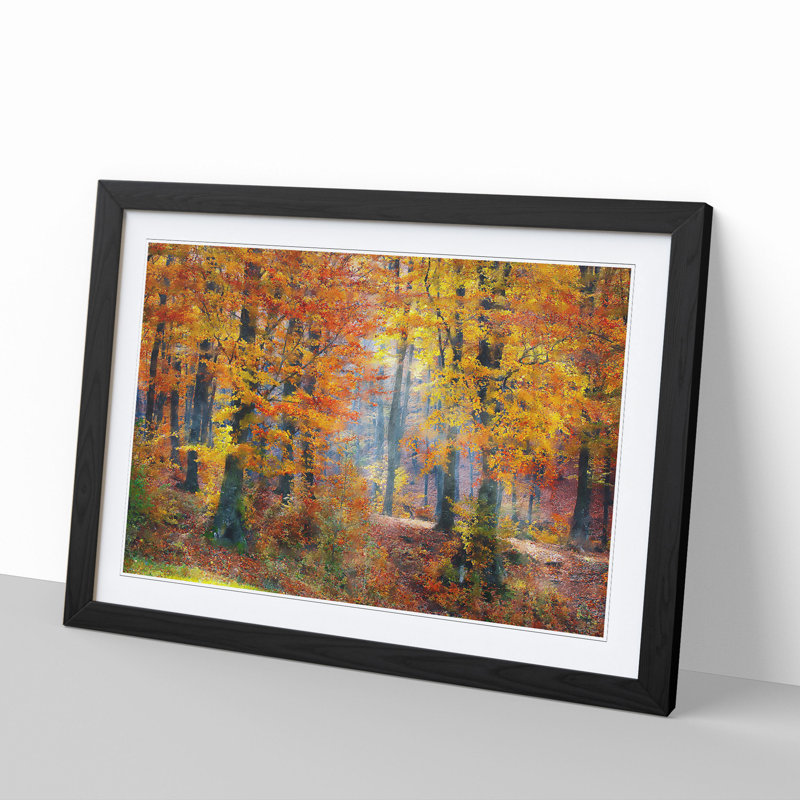 Autumn Forest Vol.3 - Framed Print, 27cm H x 36cm W x 2cm D, Black Framed