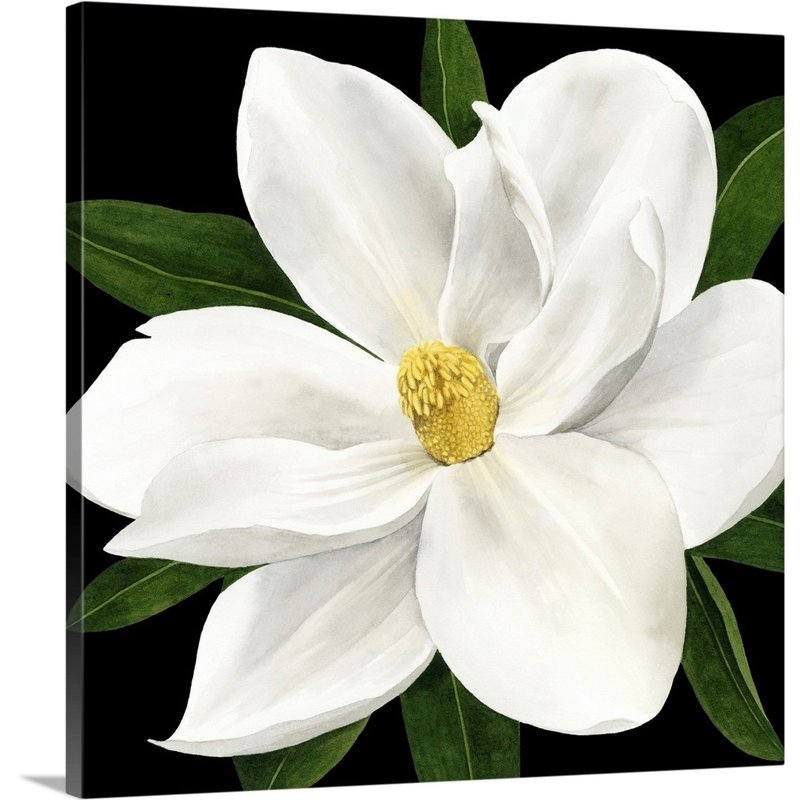 «Midnight Magnolia II», art mural sur toile, Toile tendue, H 48 po x l 48 po x P 1,25 po