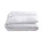 Arcadia Blanket-1973283304