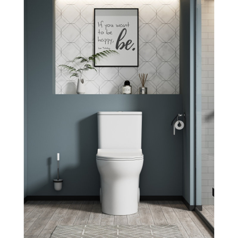 1.1/1.6 GPF Elongated Comfort Height Floor Mounted One-Piece Toilet