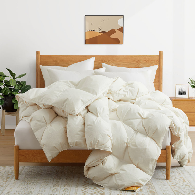 Édredon toutes saisons 90% duvet et tissu de coton biologique 300 fils, Grand lit, Beige