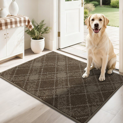 Tapis de porte antidérapant avec envers en TPR - Doux, lavable, paillasson à profil bas pour l'entrée intérieure, parfait pour les animaux de compagnie et la famille