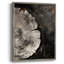 Reproduction encadrée ABSTRACT Series CCXLIV - bois massif-1102577439