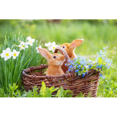Red Rabbits Outdoor 1 Piece Wrapped Canvas Wall Art