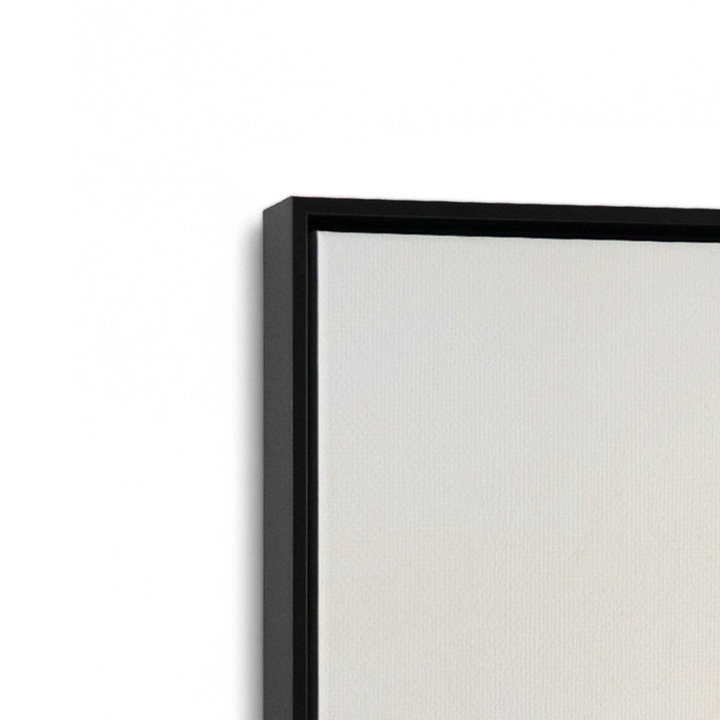 Ensemble de 2 champs de lumière pastel, H 13 po x l 26 po, Cadre flottant noir satiné