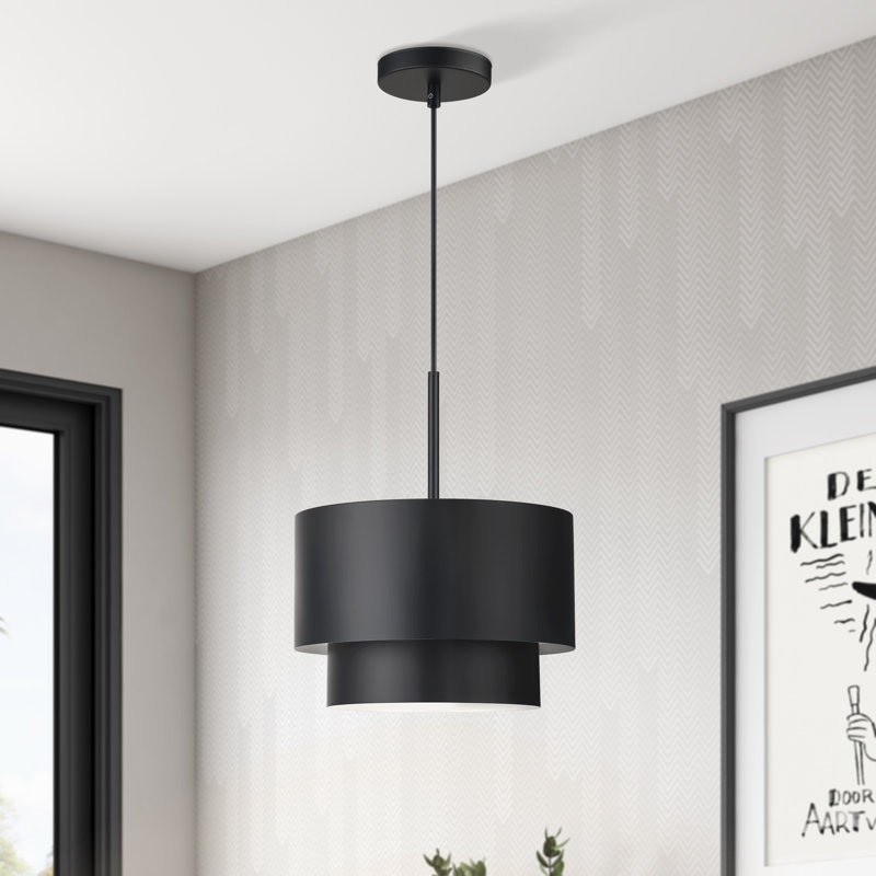 Luminaire suspendu noir 1 lumière Acklin, Noir mat, Noir