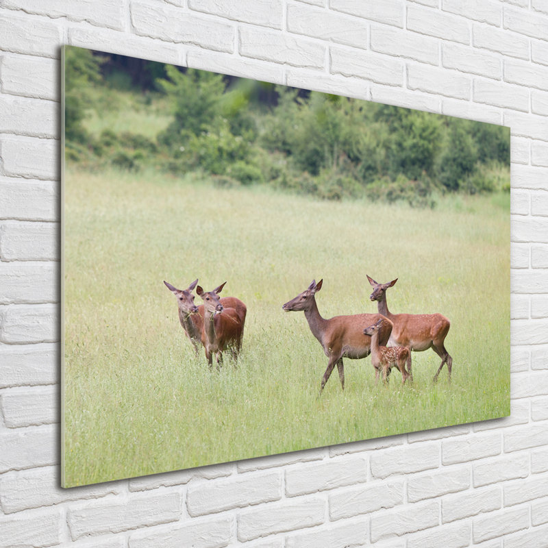 Glass Print Wall Art 100X70cm Image Printed On Glass Decorative Wall Picture Behind Toughened / Tempered Safety Real Glass For Kitchen & Living Room Theme:Roe With Young