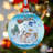 5.5'' Glass Ball Ornament