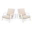 Ensemble de 2 chaises longues de patio-19586424
